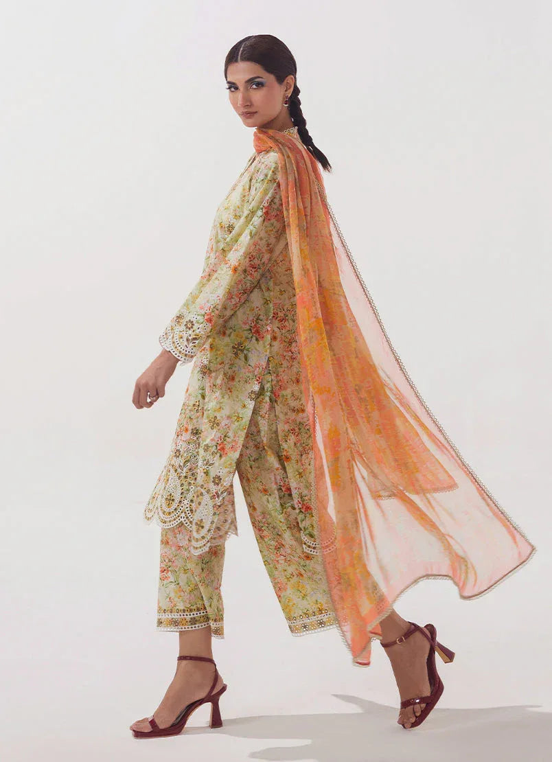 Image | Spring Basics 25 | IMPRSS-213975-12542 - Aqsa Fabrics