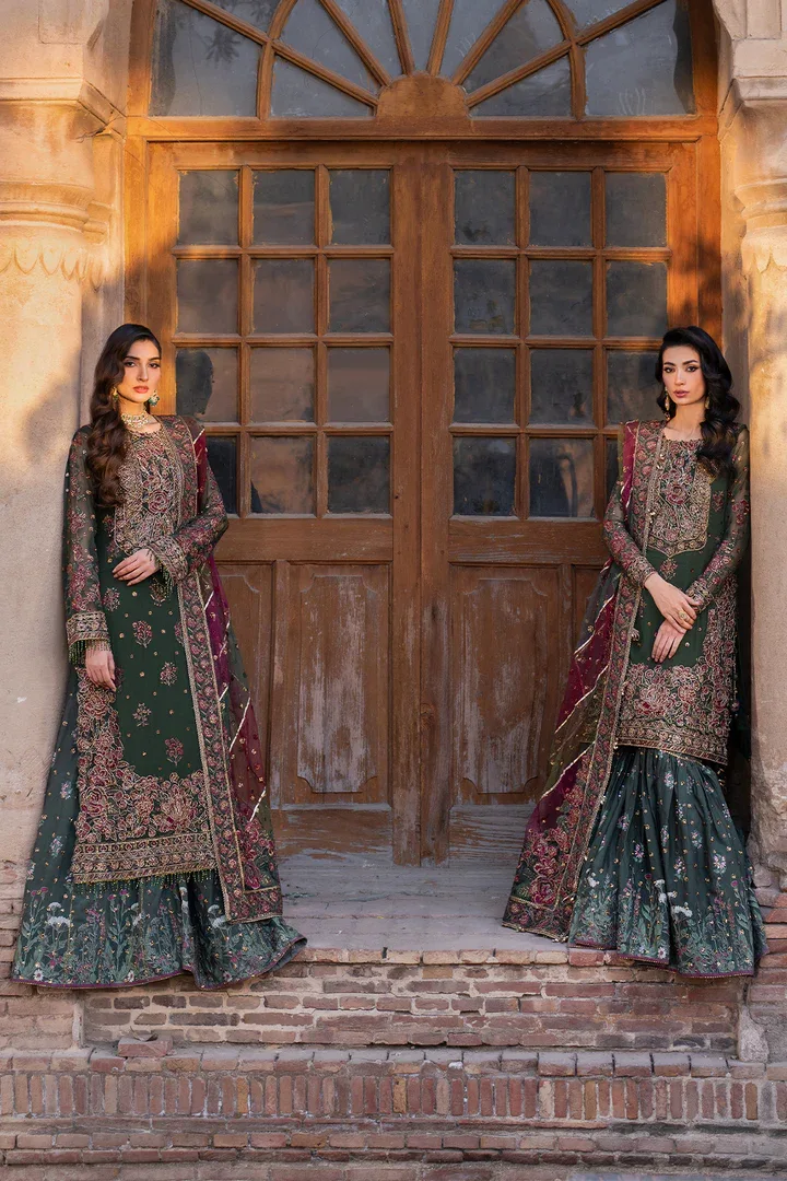 Iznik | Luxury Chiffon | ILC-01 - Aqsa Fabrics