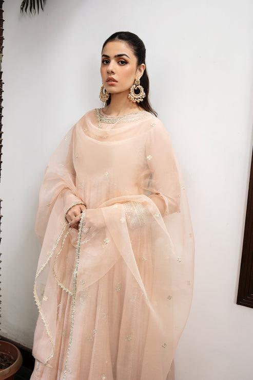 Declare | Le Fleur Luxury Pret | Cotton Net Suit L1151 - Aqsa Fabrics