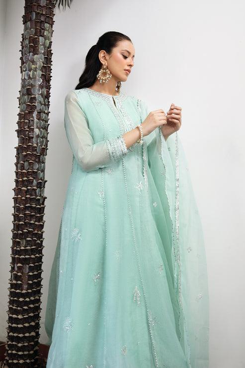 Declare | Le Fleur Luxury Pret | Cotton Net Suit L1152 - Aqsa Fabrics