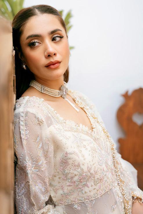 Declare | Mireya Luxury Festive | LOTUS LFU-0015 - Aqsa Fabrics