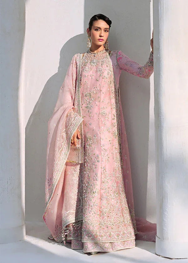 Suffuse | Freeshia Formal | FALEK - Aqsa Fabrics
