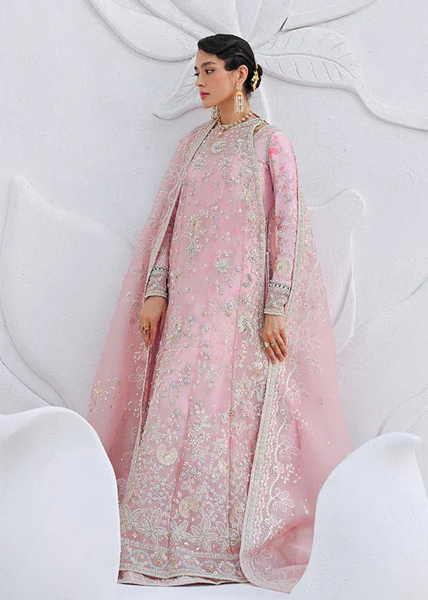 Suffuse | Freeshia Formal | FALEK - Aqsa Fabrics