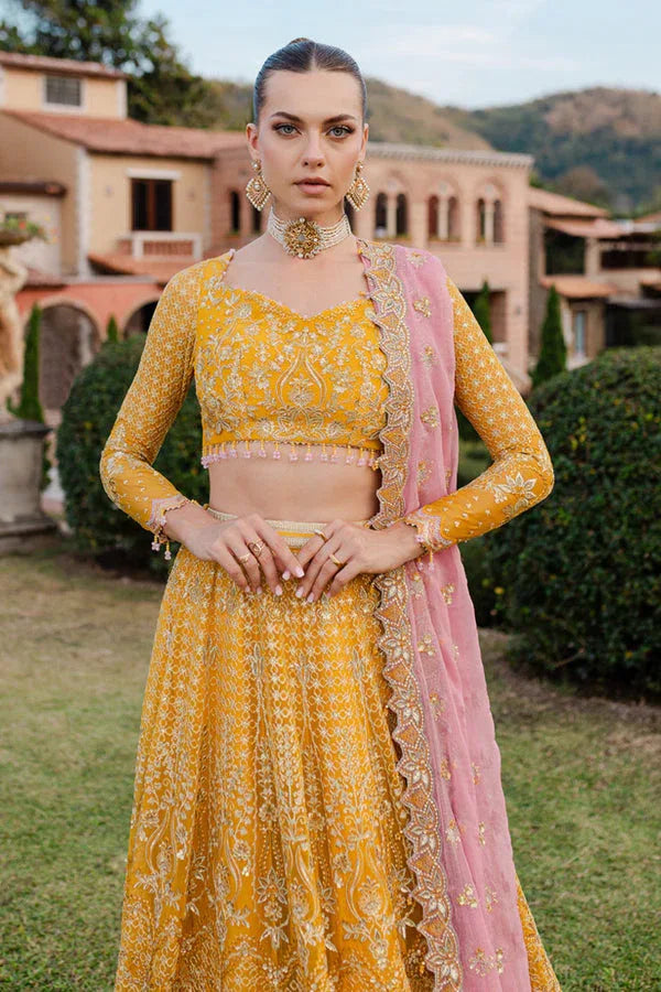 Marjjan | Isabella Formals | MLC-28 - Aqsa Fabrics