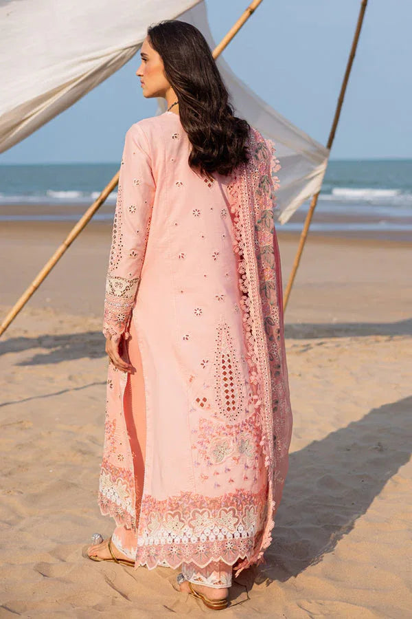 Marjjan | Mavi Lawn | MLL-24 A (PEACH) - Aqsa Fabrics