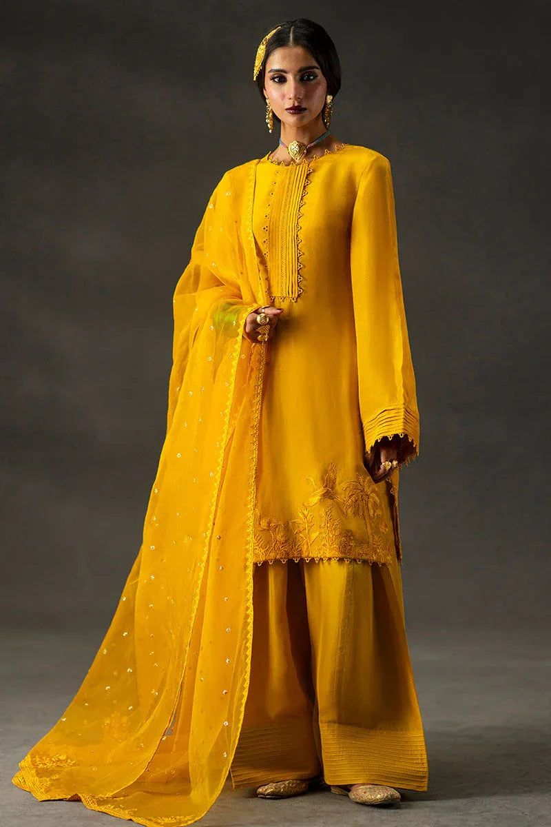 MNR | Baano Summer Festive 25 | Iqbal Bano - Aqsa Fabrics