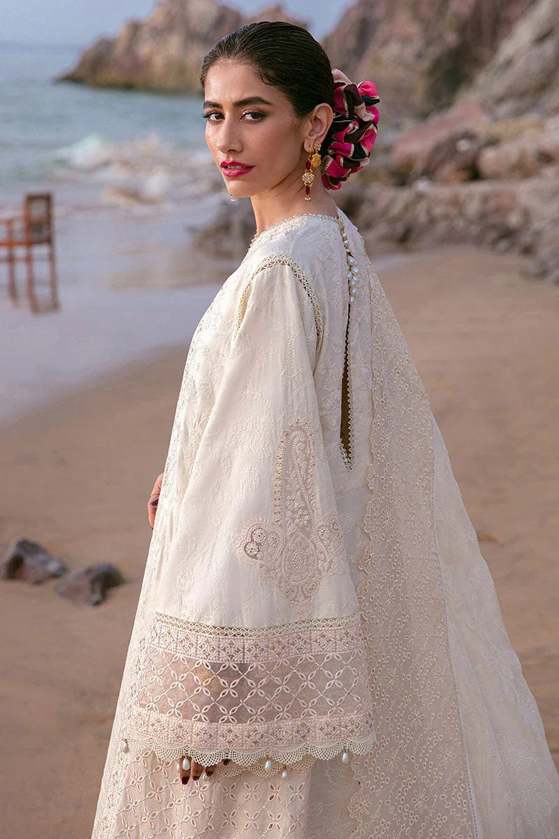 MNR | Festive Lawn 24 | DARIYA - Aqsa Fabrics