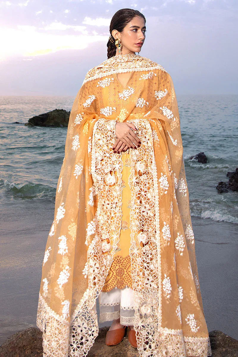 MNR | Festive Lawn 24 | NARGIS KA PHOOL - Aqsa Fabrics