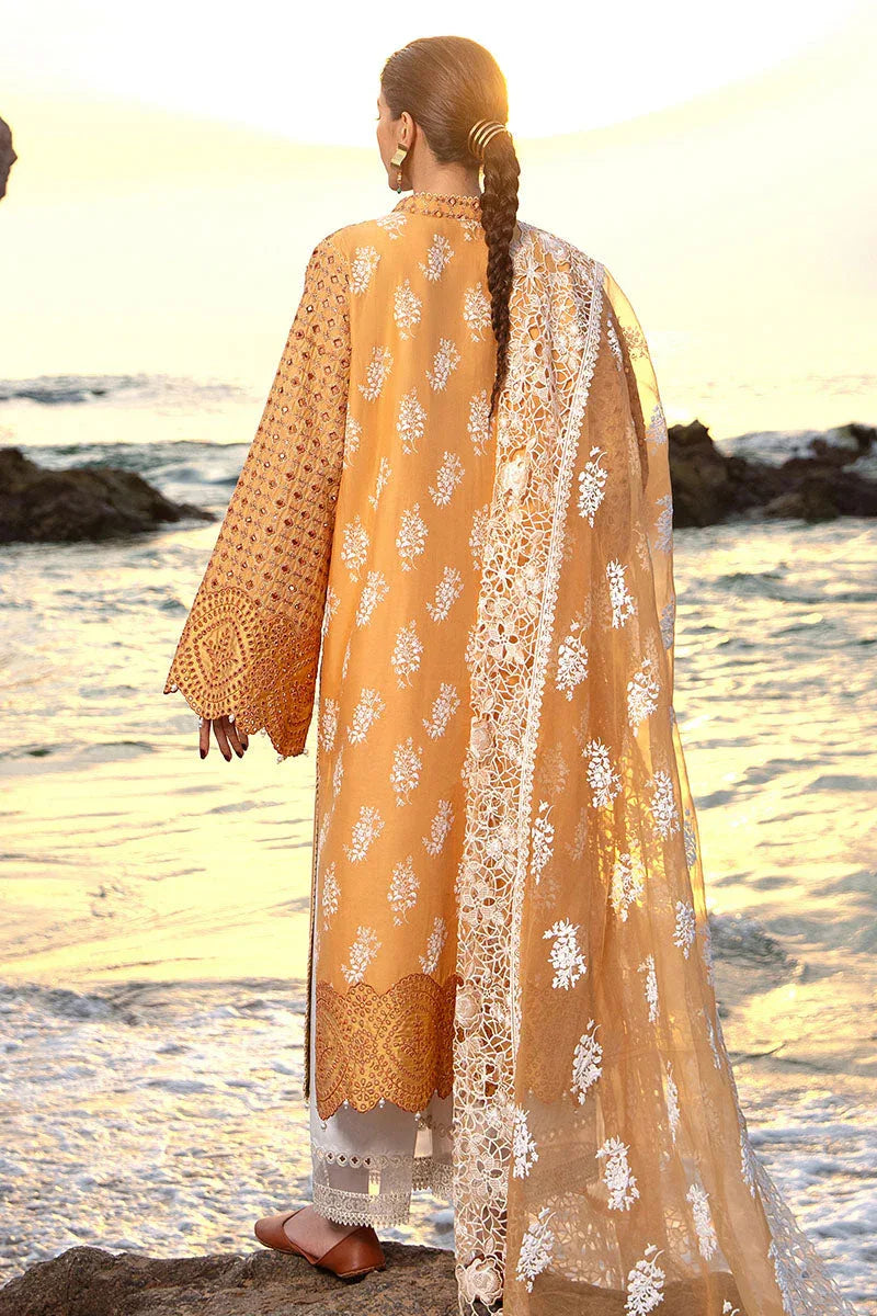 MNR | Festive Lawn 24 | NARGIS KA PHOOL - Aqsa Fabrics