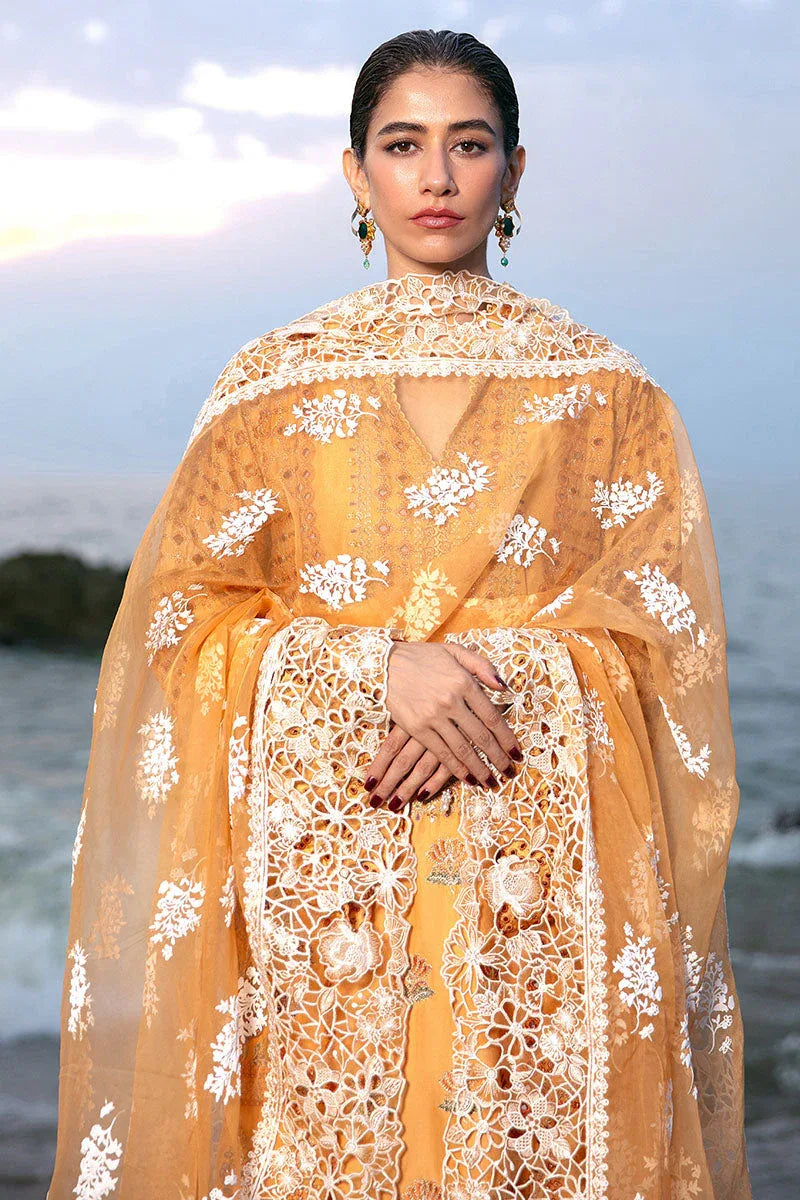 MNR | Festive Lawn 24 | NARGIS KA PHOOL - Aqsa Fabrics