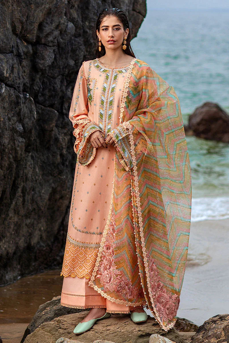 MNR | Festive Lawn 24 | RANI - Aqsa Fabrics
