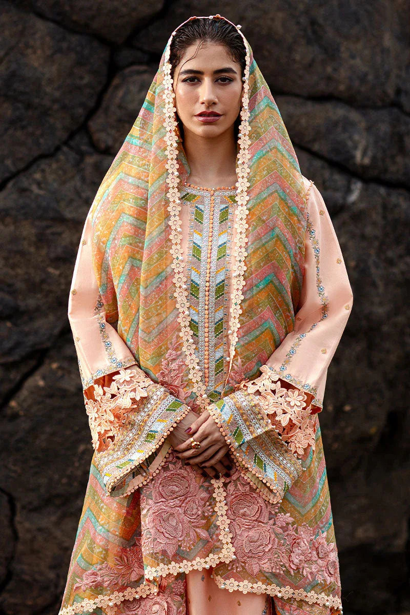 MNR | Festive Lawn 24 | RANI - Aqsa Fabrics