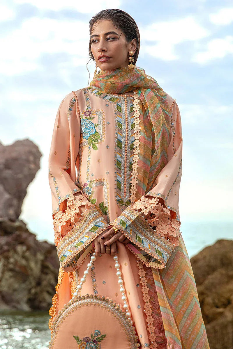 MNR | Festive Lawn 24 | RANI - Aqsa Fabrics