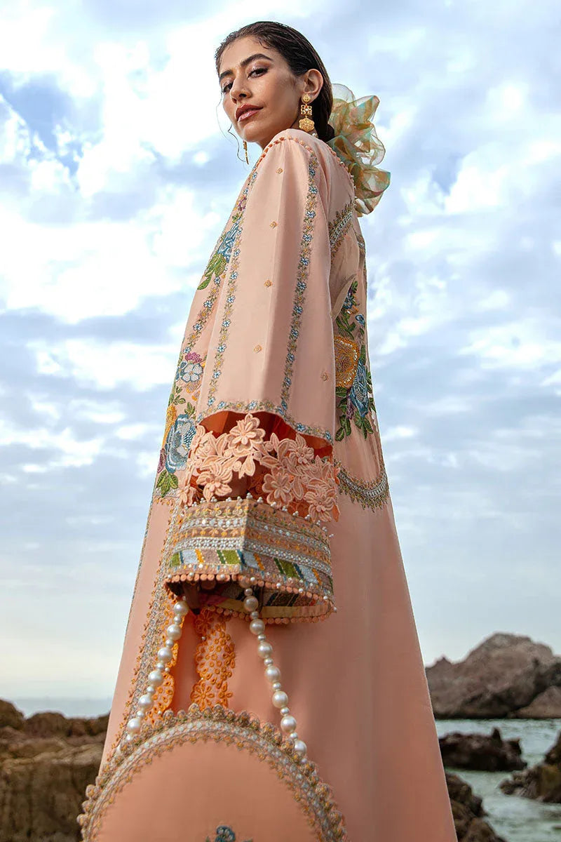 MNR | Festive Lawn 24 | RANI - Aqsa Fabrics