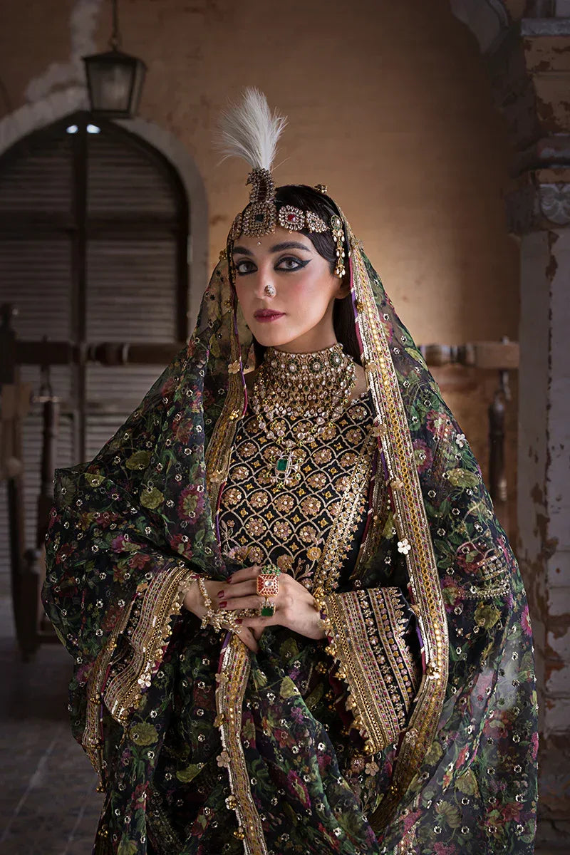 MNR | Talpur Dynasty 23 | Koyal - Aqsa Fabrics