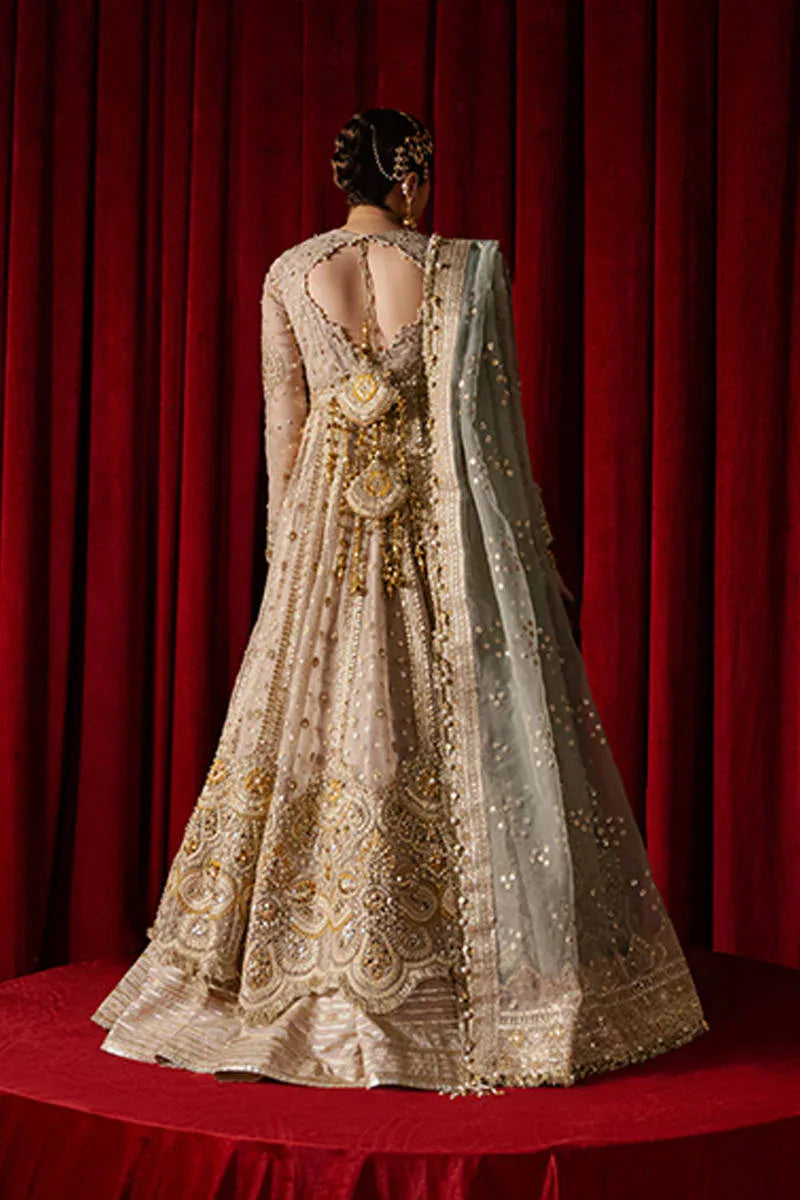 MNR | Zarlish Festive Formals | Shabnami - Aqsa Fabrics