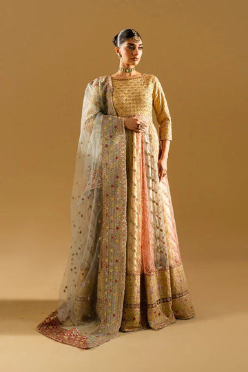 Maryum N Maria | Mysha Wedding Formals | KARIN - MS50187 - Aqsa Fabrics