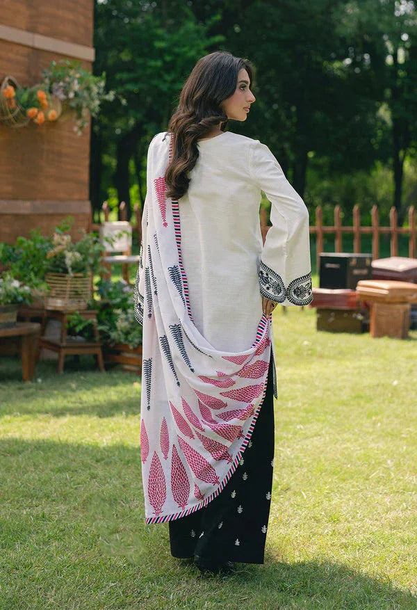 Maryum N Maria | Cosy Crew Winter Pret 25 | GULNOOR - MSS5760 - Aqsa Fabrics
