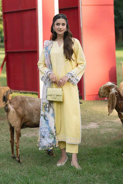 Maryum N Maria | Cosy Crew Winter Pret 25 | GULALI - MSS5768 - Aqsa Fabrics
