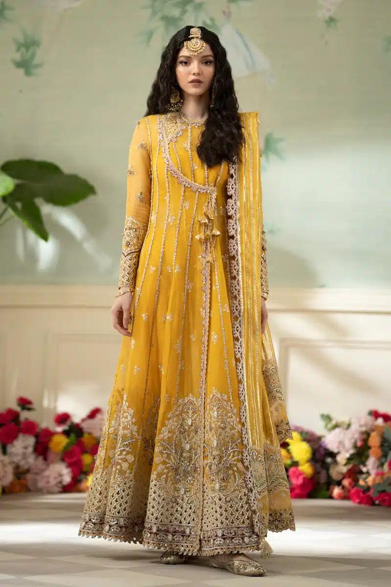 Qalamkar | Dilnaz Wedding Formals | DN-04 KANZA - Aqsa Fabrics