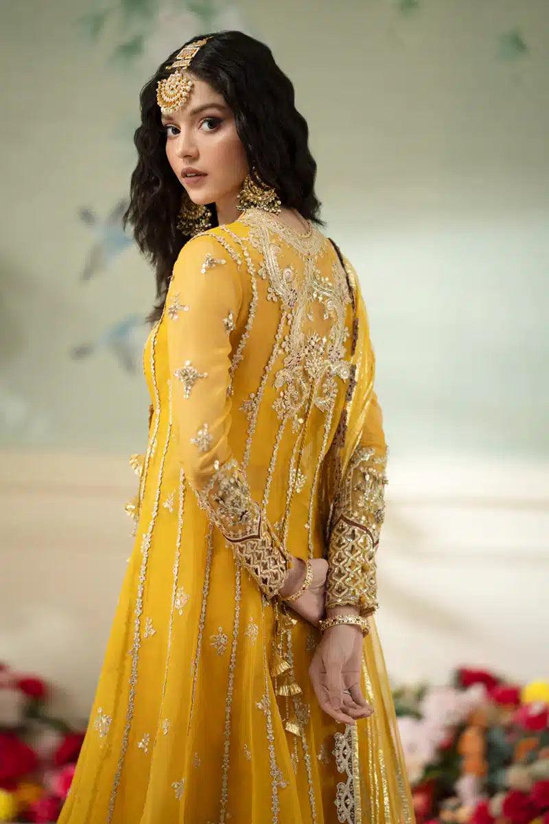 Qalamkar | Dilnaz Wedding Formals | DN-04 KANZA - Aqsa Fabrics