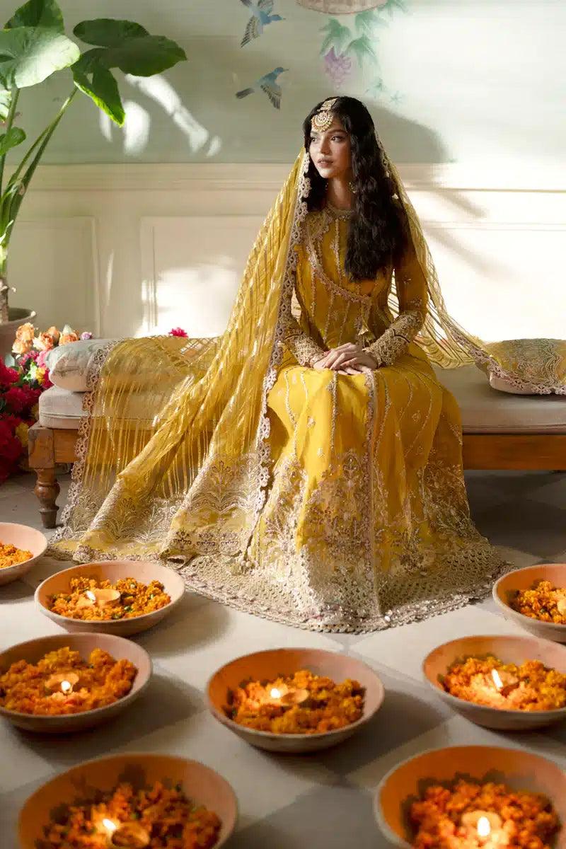 Qalamkar | Dilnaz Wedding Formals | DN-04 KANZA - Aqsa Fabrics
