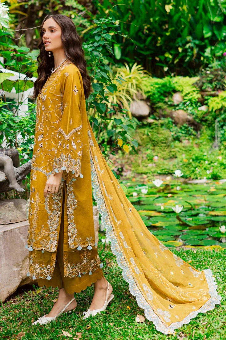 Marjjan | Bella Karandi 25 |MWK-38 A (MUSTARD) - Aqsa Fabrics