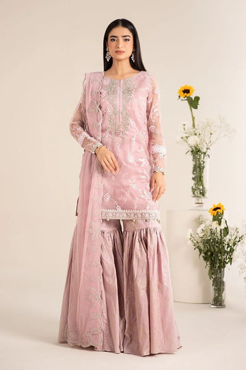 Maria B | Casual Pret 25 | DW-EF25-17 - Aqsa Fabrics
