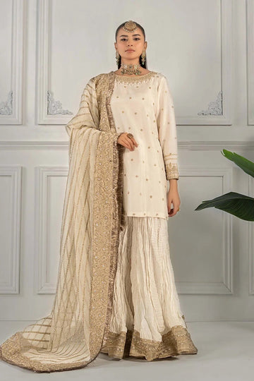 Maria B | Formal Wears | SF-EF25-25 - Aqsa Fabrics