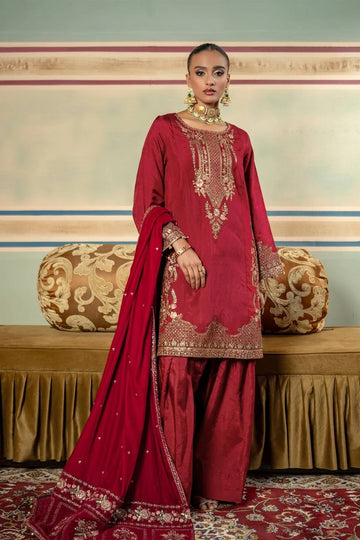 Maria B | M Basics Festive Velvet |  MB-USW24-602 - Aqsa Fabrics