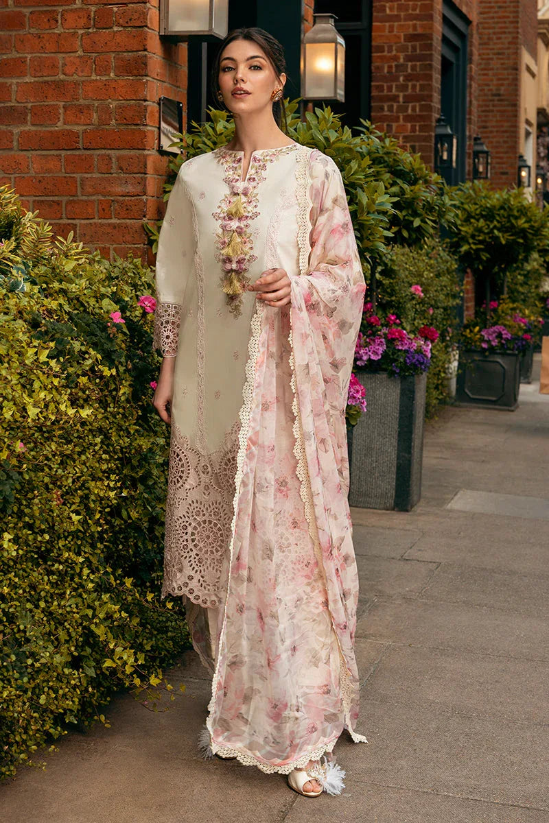 Mushq | Hemline Odyssey | MOCHA MUSE - Aqsa Fabrics