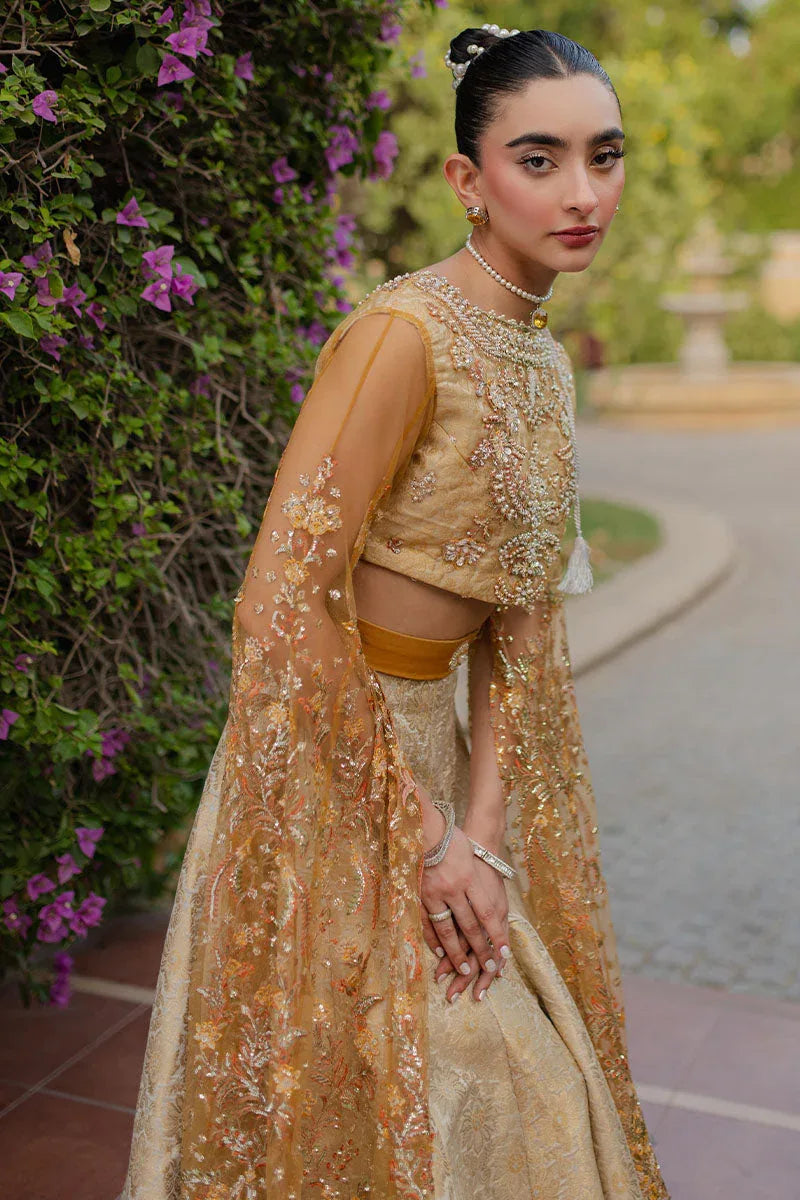 Mushq | Mann Mein Tu Wedding | SITARAY - Aqsa Fabrics