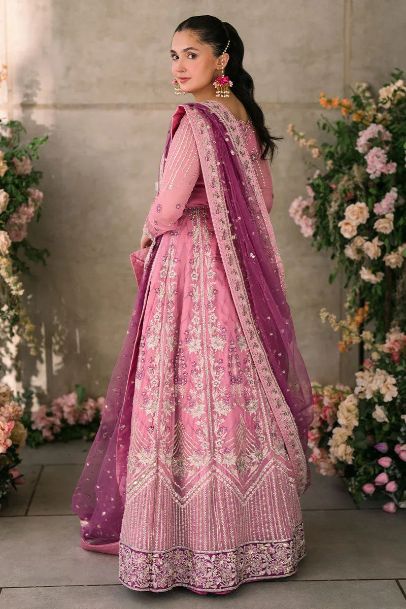 Mushq | Matani Evening Luxury Chiffon | Dua - Aqsa Fabrics