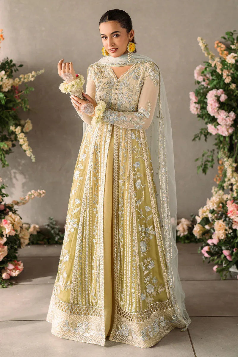 Mushq | Matani Evening Luxury Chiffon | Hira - Aqsa Fabrics