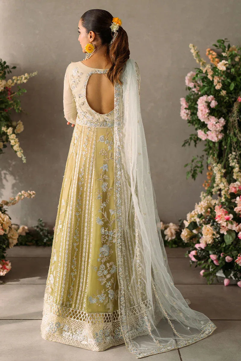 Mushq | Matani Evening Luxury Chiffon | Hira - Aqsa Fabrics