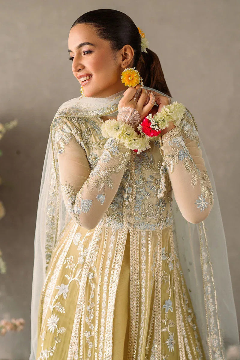 Mushq | Matani Evening Luxury Chiffon | Hira - Aqsa Fabrics