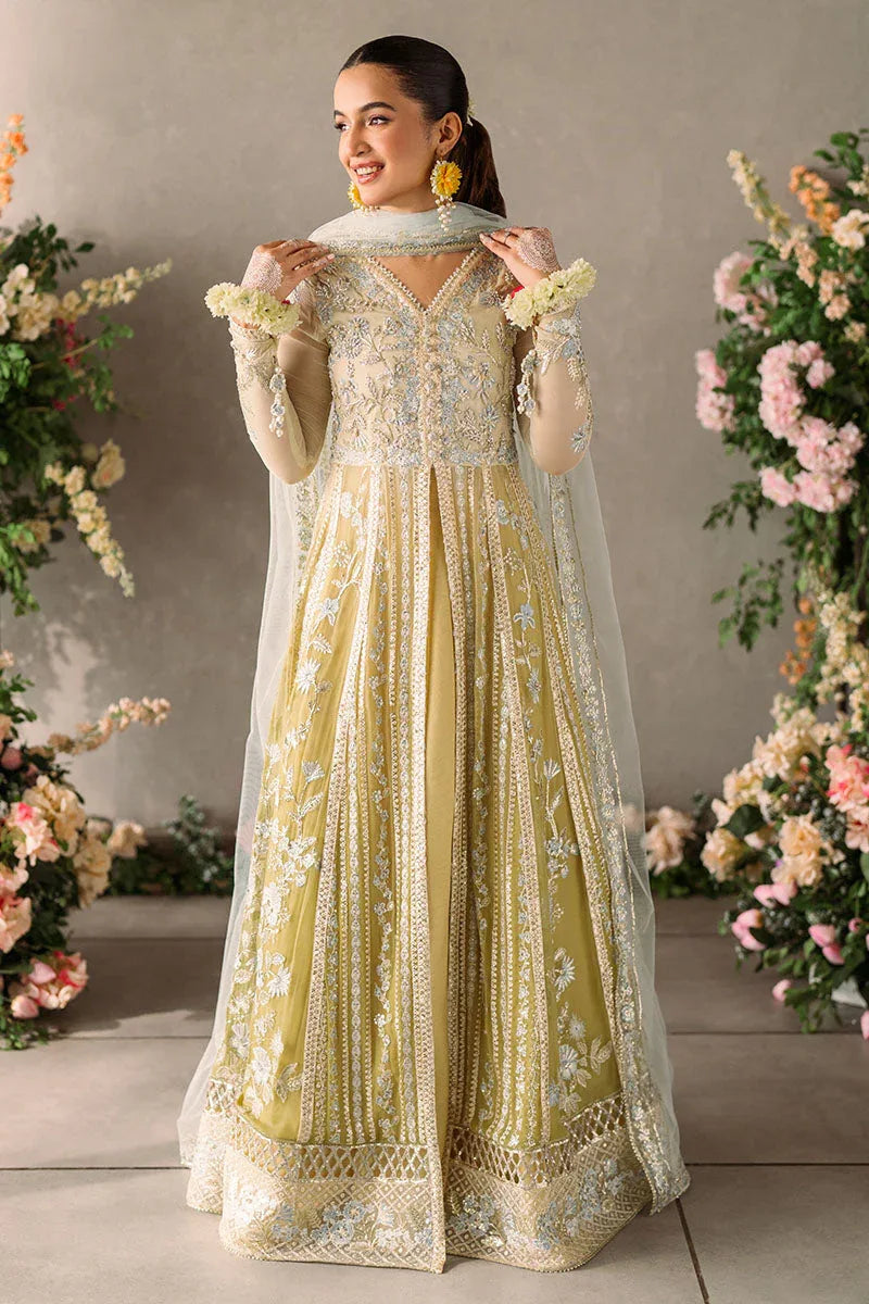 Mushq | Matani Evening Luxury Chiffon | Hira - Aqsa Fabrics