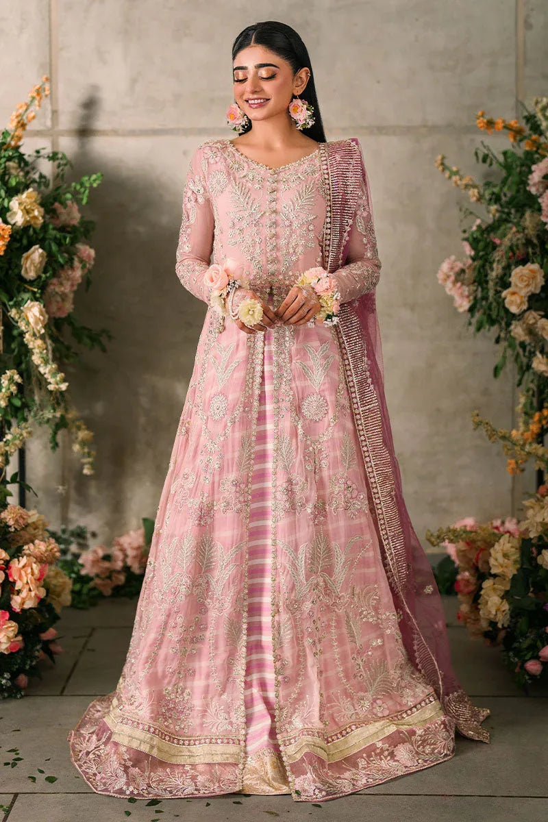 Mushq | Matani Evening Luxury Chiffon | Maisha - Aqsa Fabrics