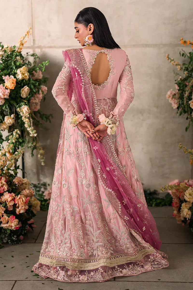 Mushq | Matani Evening Luxury Chiffon | Maisha - Aqsa Fabrics