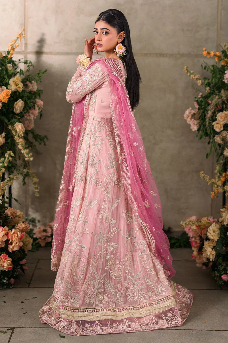 Mushq | Matani Evening Luxury Chiffon | Maisha - Aqsa Fabrics