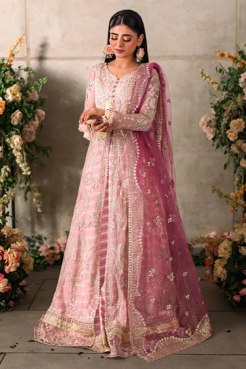 Mushq | Matani Evening Luxury Chiffon | Maisha - Aqsa Fabrics
