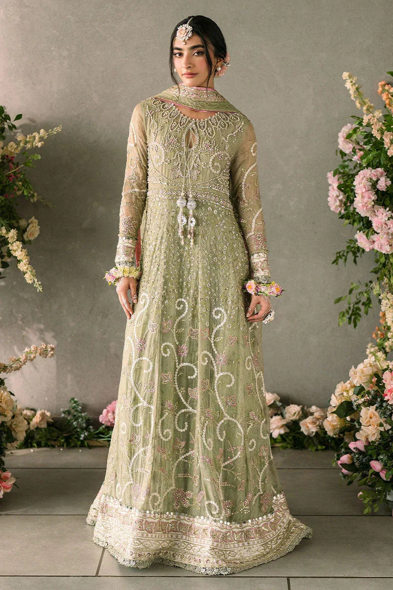 Mushq | Matani Evening Luxury Chiffon | Namar - Aqsa Fabrics