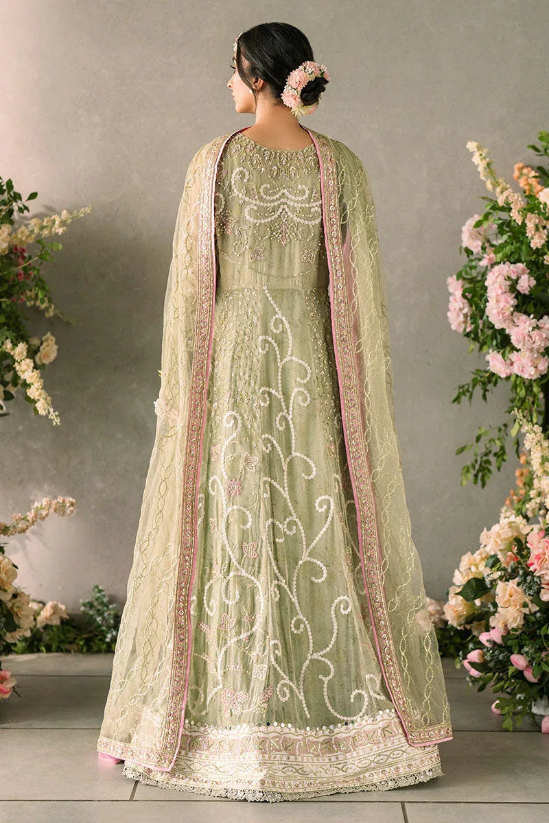 Mushq | Matani Evening Luxury Chiffon | Namar - Aqsa Fabrics