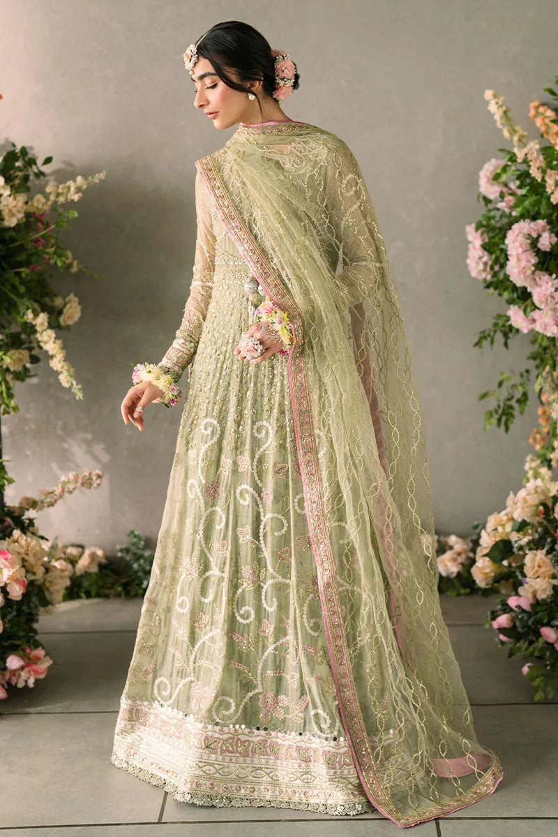 Mushq | Matani Evening Luxury Chiffon | Namar - Aqsa Fabrics