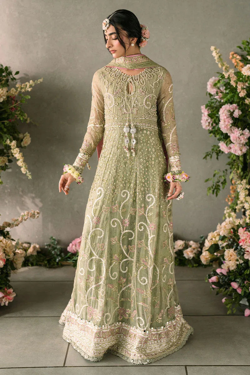 Mushq | Matani Evening Luxury Chiffon | Namar - Aqsa Fabrics