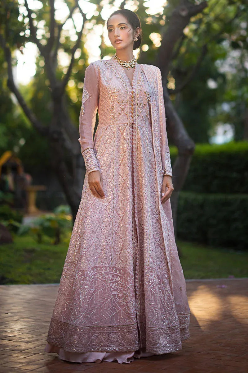 Mushq | Roohi Luxury Collection | AANYA - Aqsa Fabrics
