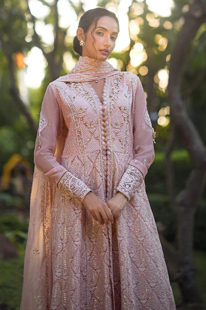 Mushq | Roohi Luxury Collection | AANYA - Aqsa Fabrics