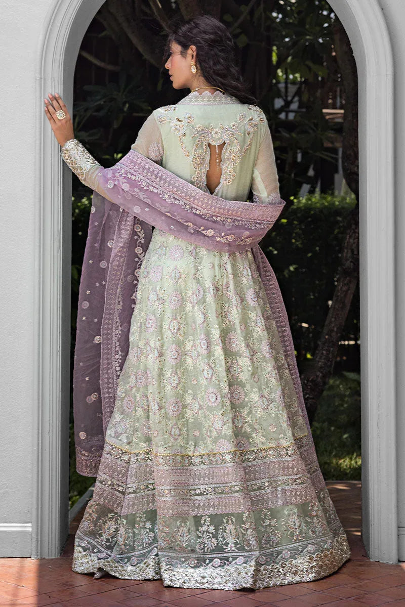 Mushq | Roohi Luxury Collection | AARA - Aqsa Fabrics