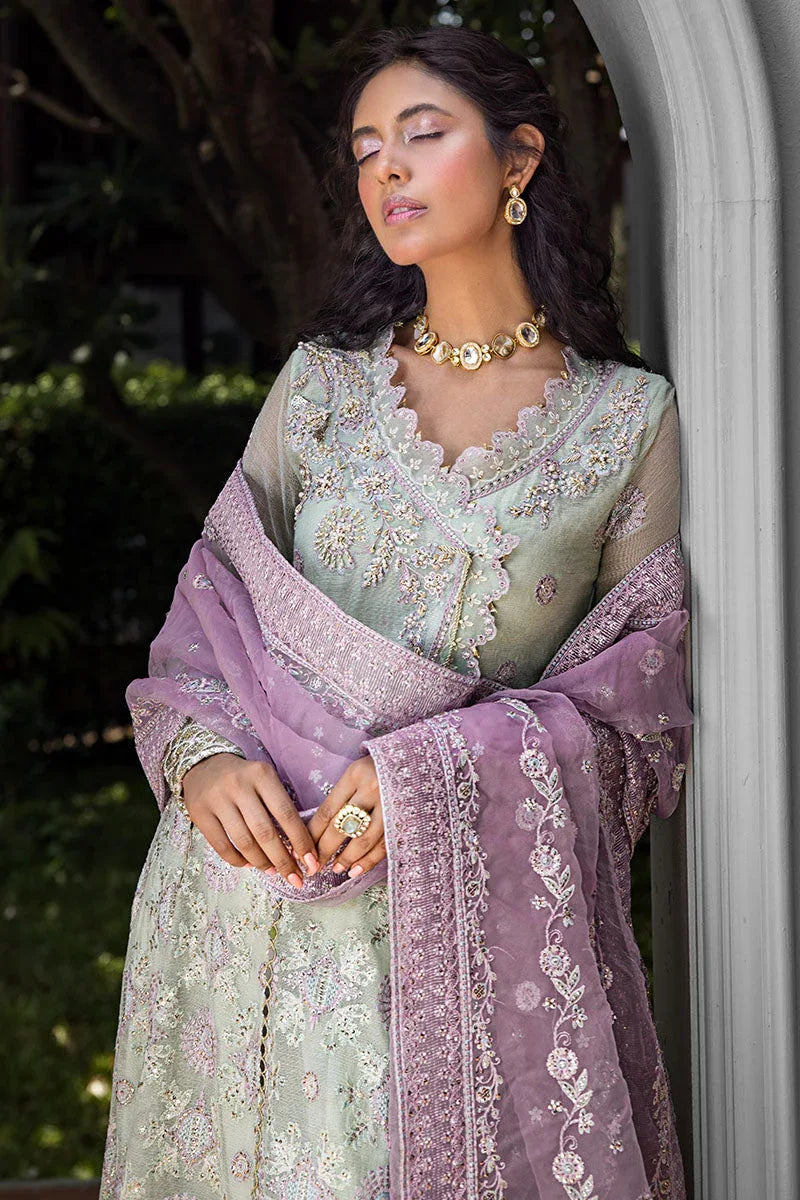 Mushq | Roohi Luxury Collection | AARA - Aqsa Fabrics