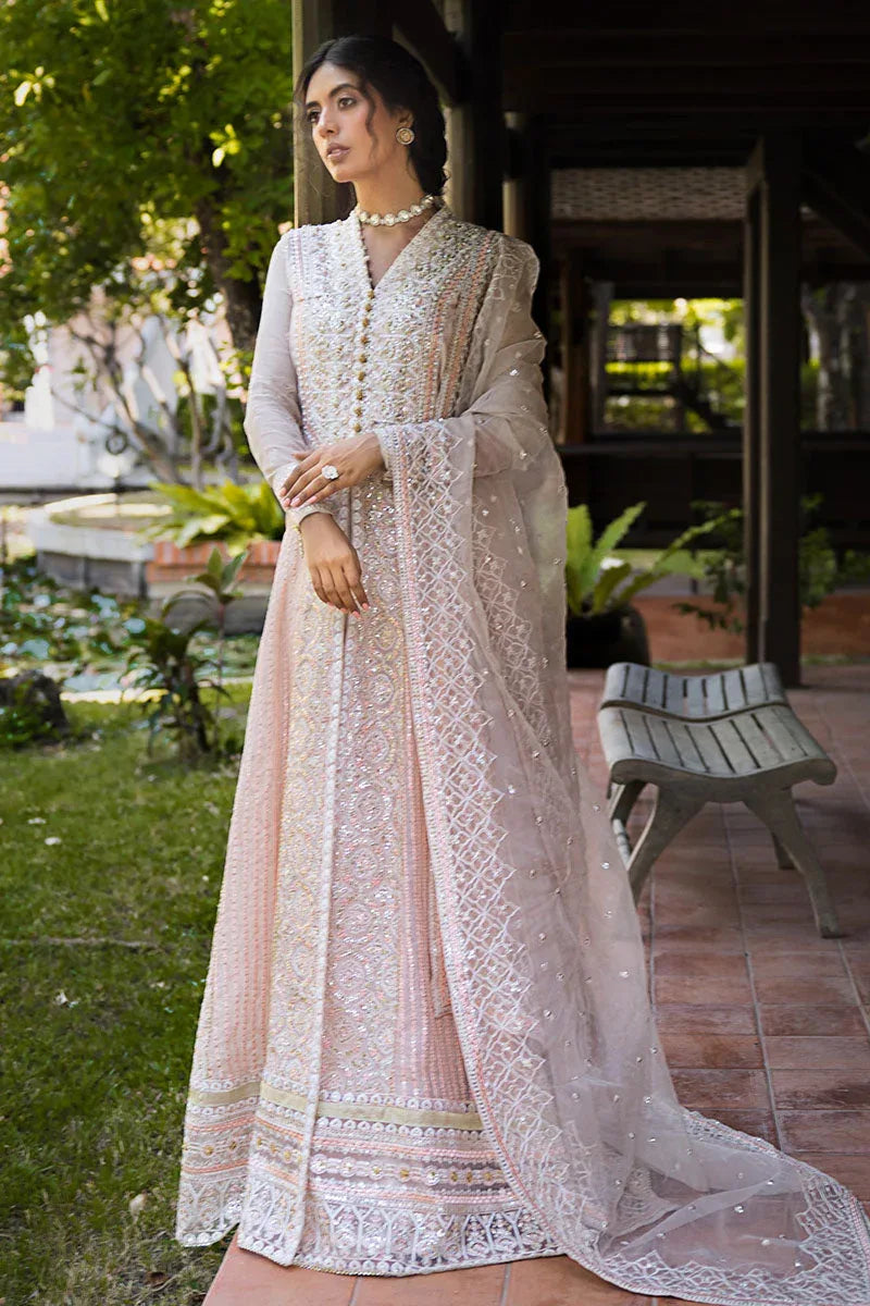 Mushq | Roohi Luxury Collection | Anika - Aqsa Fabrics